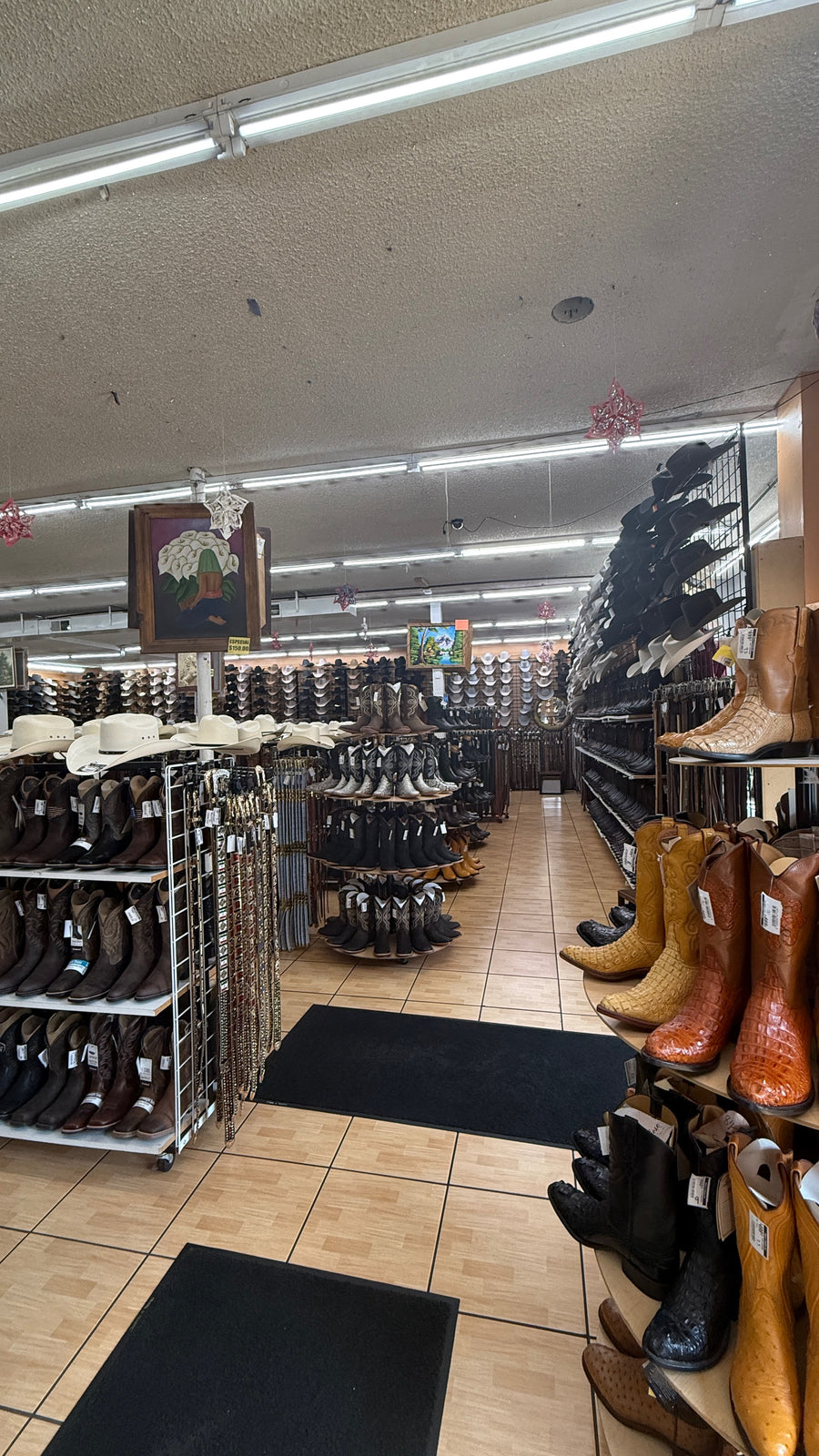 Botas Exoticas